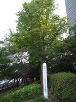 P8134620.jpg